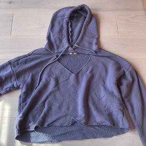 Pacsun Cropped Hoodie